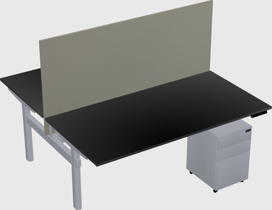 Shared electric desk