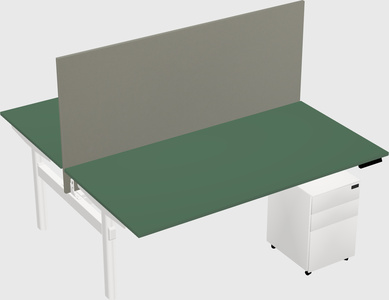 Shared electric desk