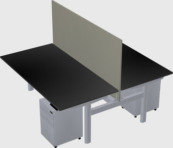 Shared electric desk