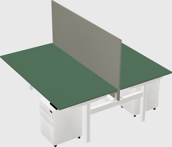 Shared electric desk