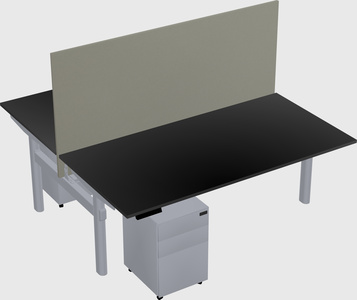 Shared electric desk