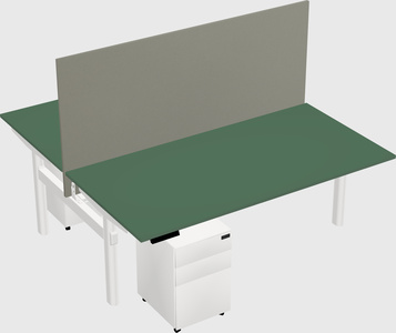 Shared electric desk