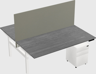 Shared electric desk