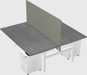 Shared electric desk