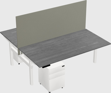 Shared electric desk