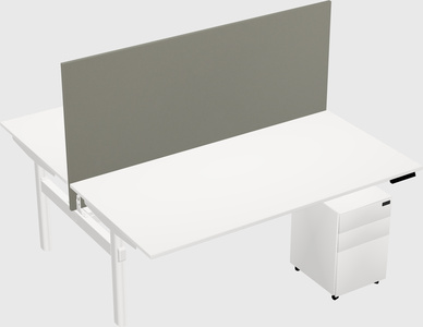 Shared electric desk