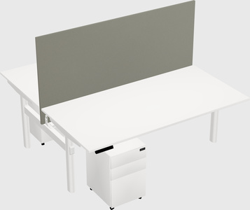 Shared electric desk