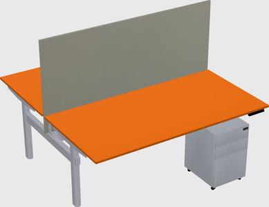 Shared electric desk