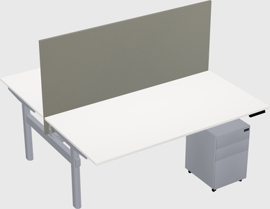 Shared electric desk