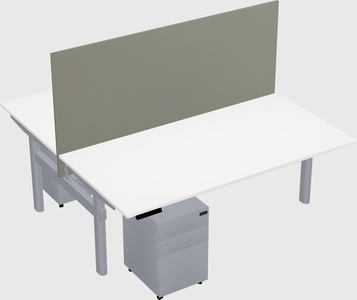 Shared electric desk