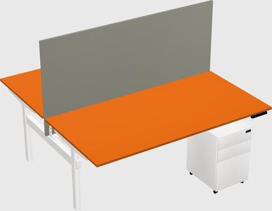 Shared electric desk