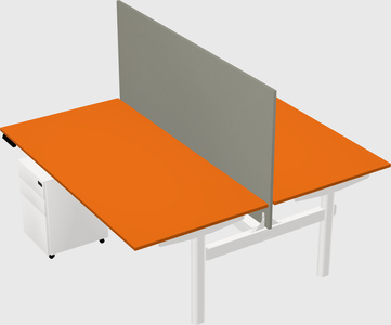 Shared electric desk