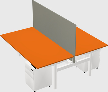 Shared electric desk