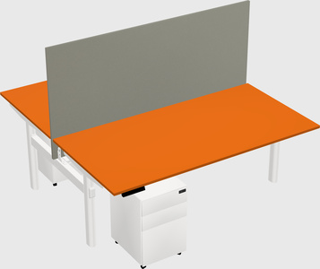 Shared electric desk