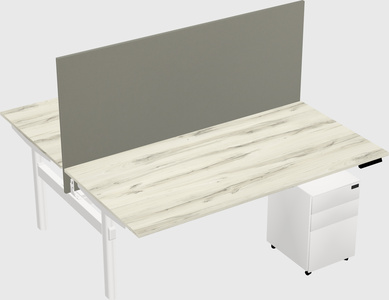 Shared electric desk
