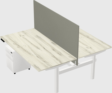 Shared electric desk