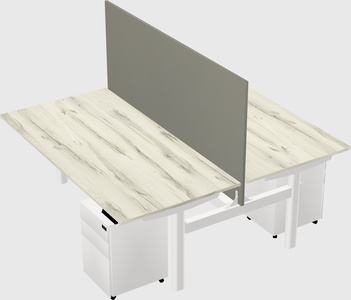 Shared electric desk