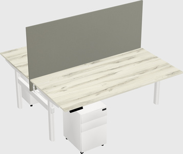 Shared electric desk