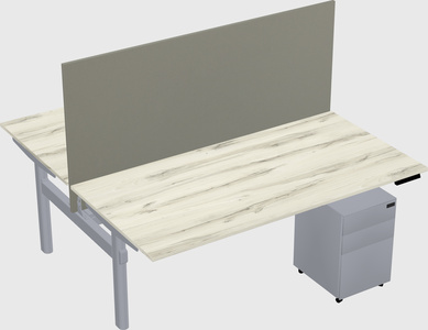 Shared electric desk