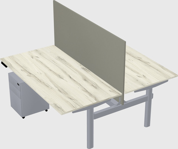 Shared electric desk