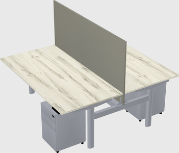 Shared electric desk
