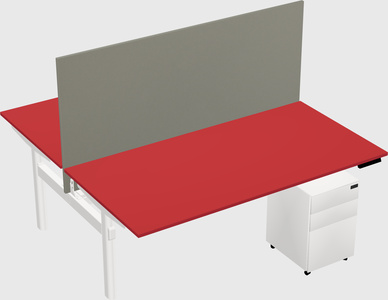 Shared electric desk