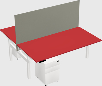 Shared electric desk