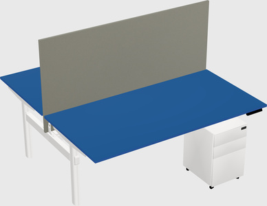 Shared electric desk