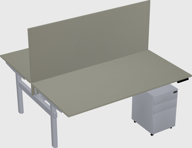 Shared electric desk