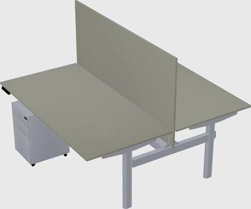 Shared electric desk