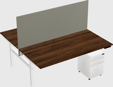 Shared electric desk