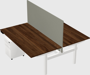 Shared electric desk