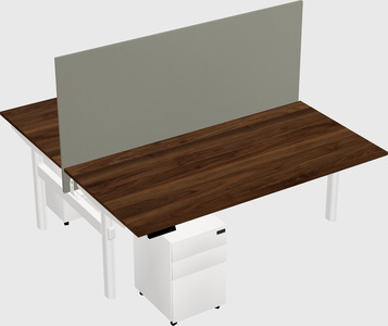 Shared electric desk