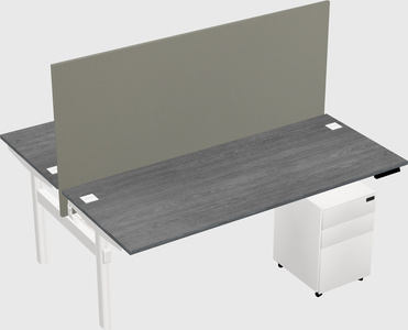 Shared electric desk