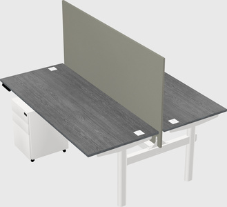 Shared electric desk