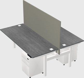 Shared electric desk