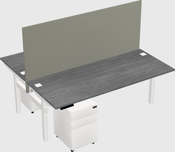 Shared electric desk