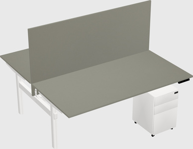 Shared electric desk