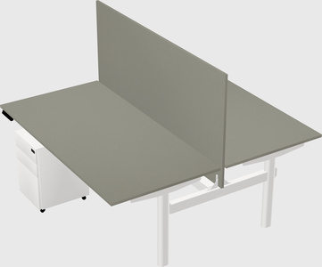 Shared electric desk