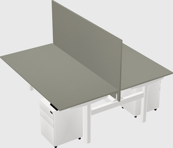 Shared electric desk