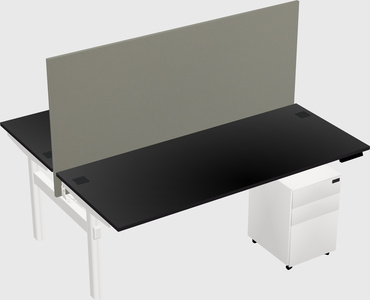 Shared electric desk