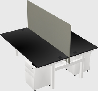 Shared electric desk