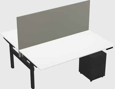 Shared electric desk