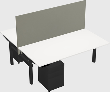 Shared electric desk