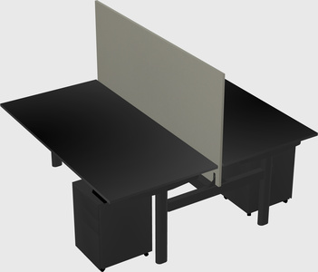 Shared electric desk