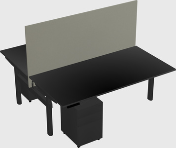Shared electric desk
