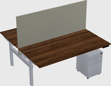 Shared electric desk
