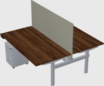 Shared electric desk