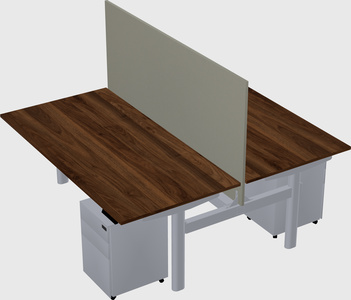 Shared electric desk