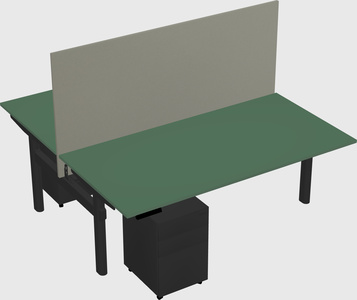 Shared electric desk